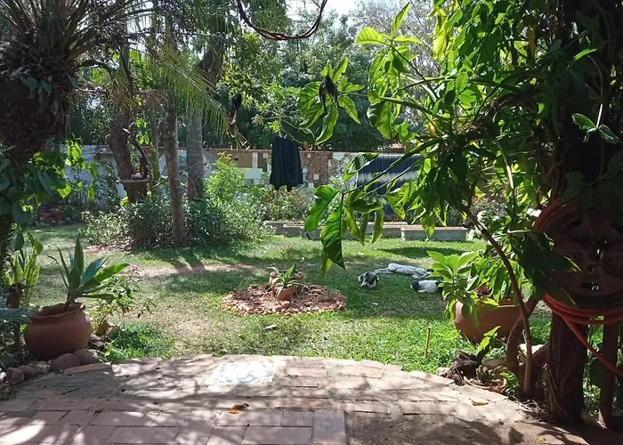House In The Garden